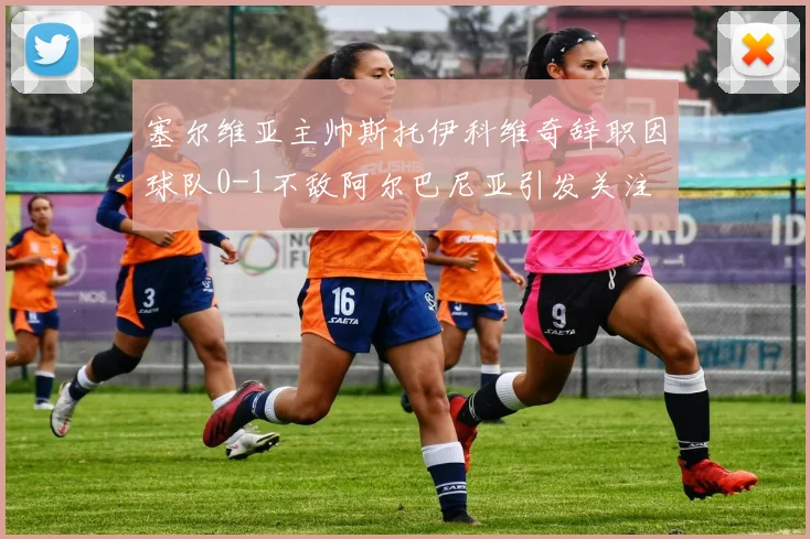 塞尔维亚主帅斯托伊科维奇辞职因球队0-1不敌阿尔巴尼亚引发关注
