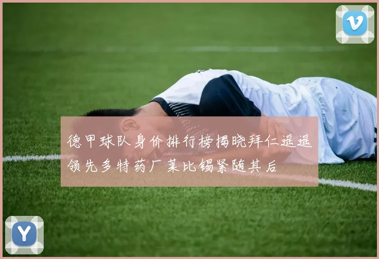 德甲球队身价排行榜揭晓拜仁遥遥领先多特药厂莱比锡紧随其后