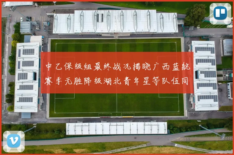 中乙保级组最终战况揭晓广西蓝航赛季无胜降级湖北青年星等队伍同遭降级