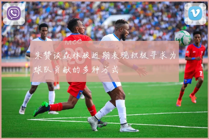 朱赞谈森林狼近期表现积极寻求为球队贡献的多种方式