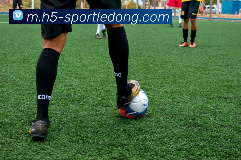 乐动体育服务体系