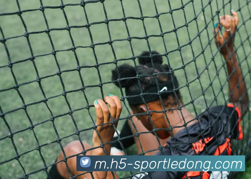 乐动体育APP 体育赛事宣传图